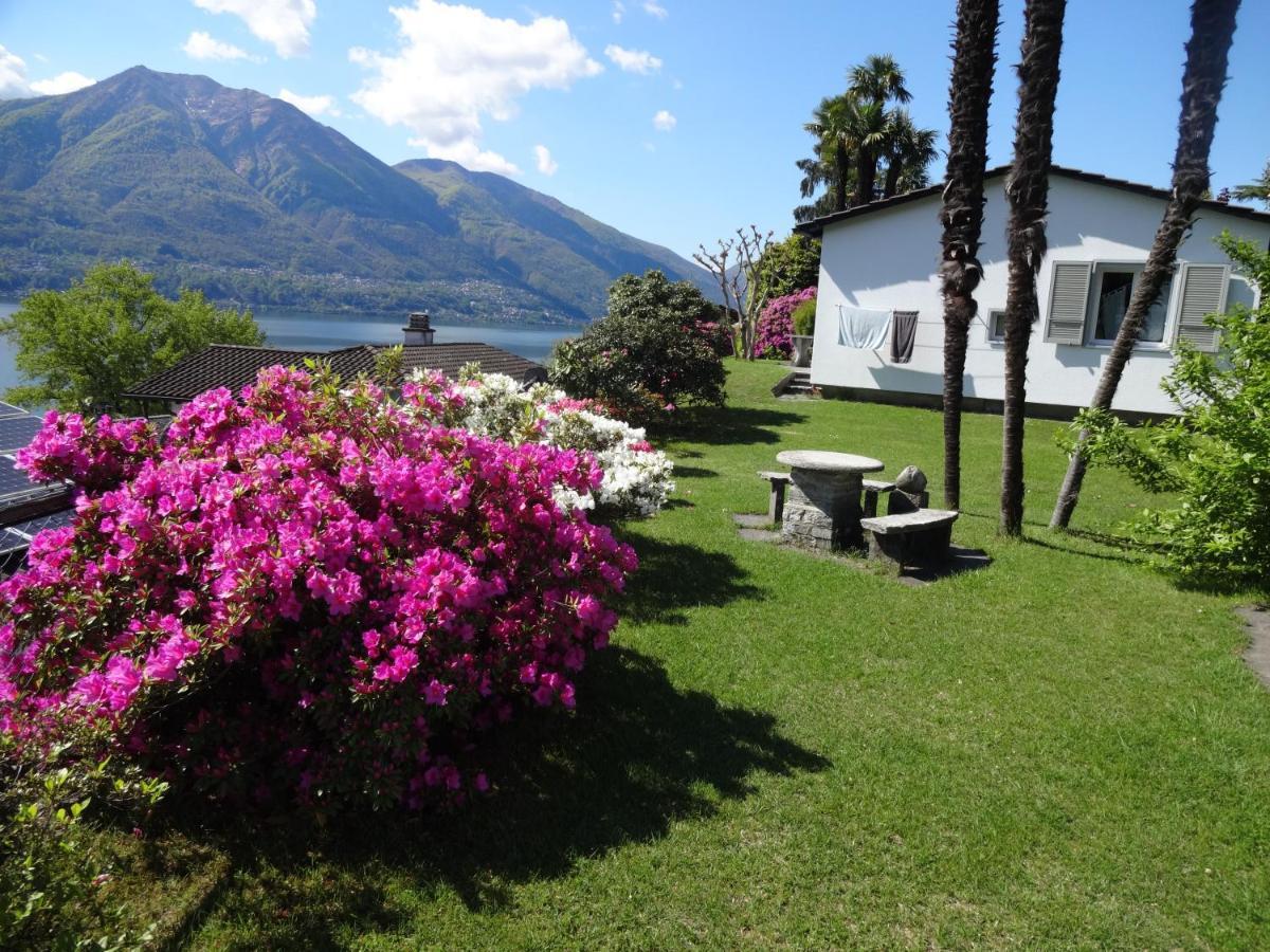 Residenza Paradiso Di Vacanze Minusio Экстерьер фото