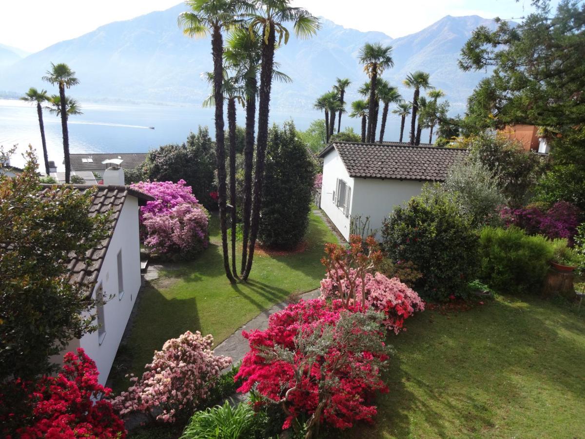 Residenza Paradiso Di Vacanze Minusio Экстерьер фото